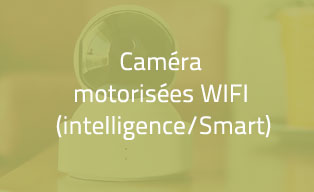 Caméra de surveillance motorisées WIFI (intelligence/Smart)